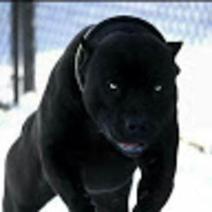 Meet your Posher, Federico